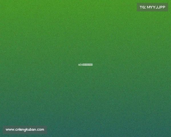 sdx电子竞技俱乐部